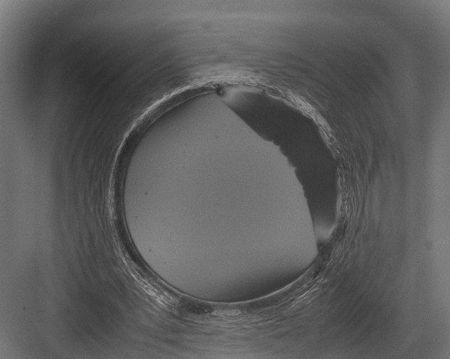 X0000081590391200702121519