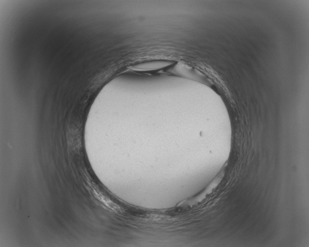 X0000081590393200702121519