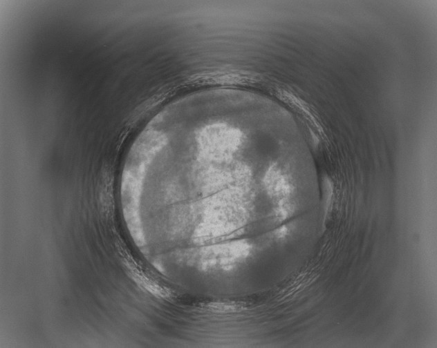 X0000081590394200702121519