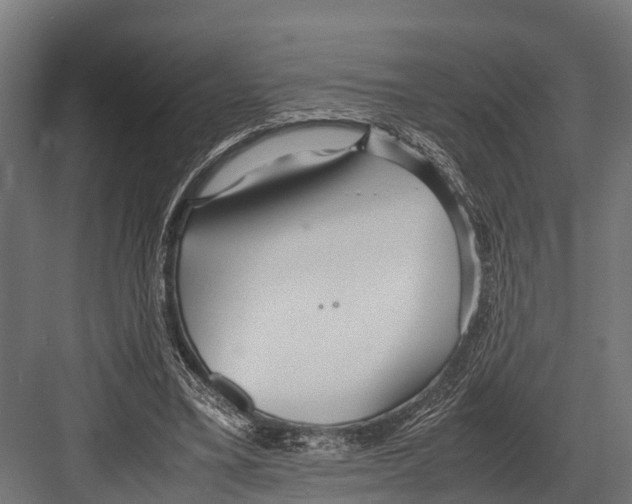 X0000081590395200702121519