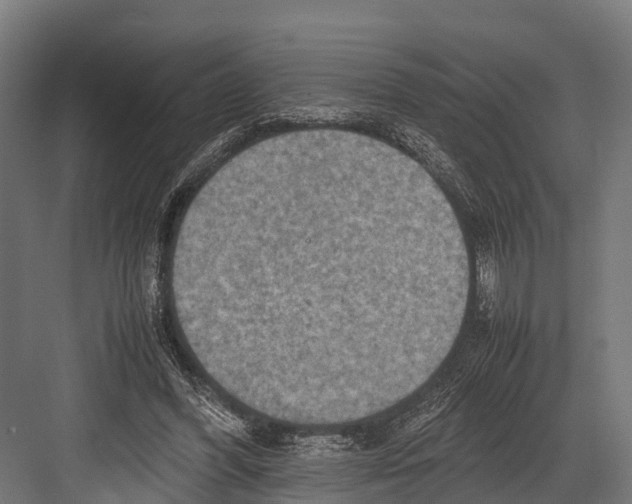 X0000081590396200702121519