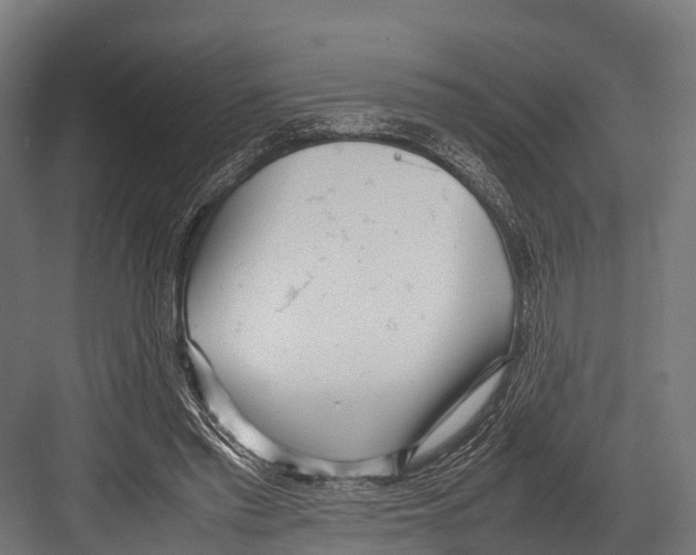 X0000081590397200702121519