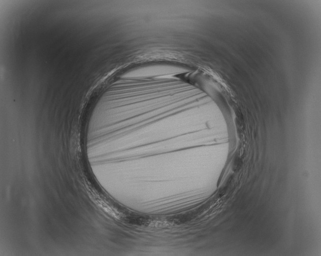 X0000081590399200702121519