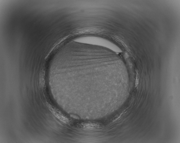 X0000081590400200702121519