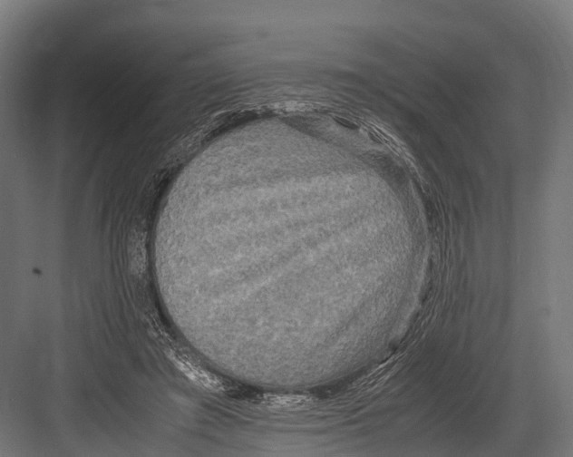 X0000081590401200702121519