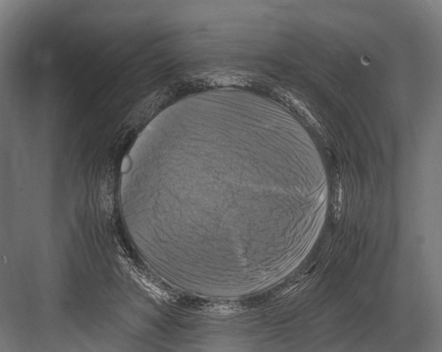 X0000081590402200702121519