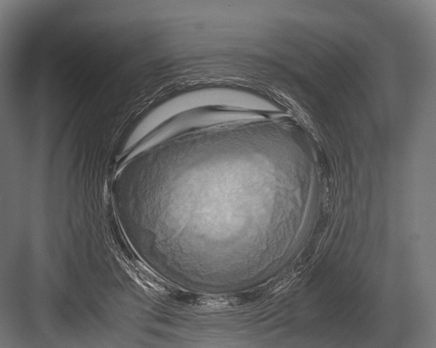 X0000081590405200702121519