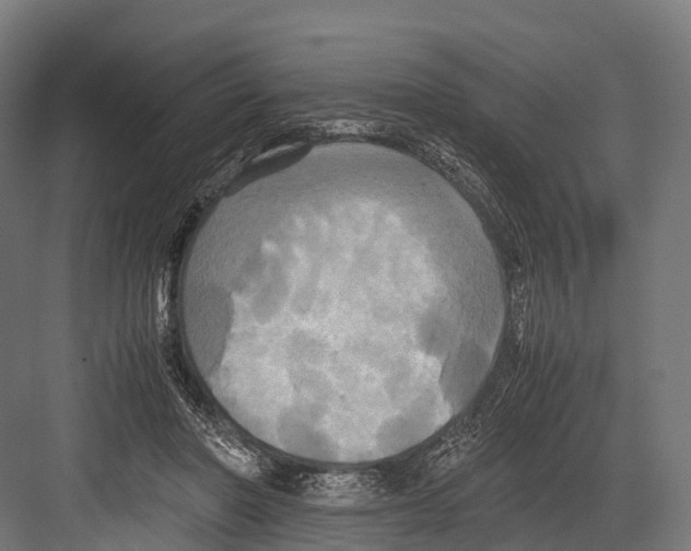 X0000081590406200702121519