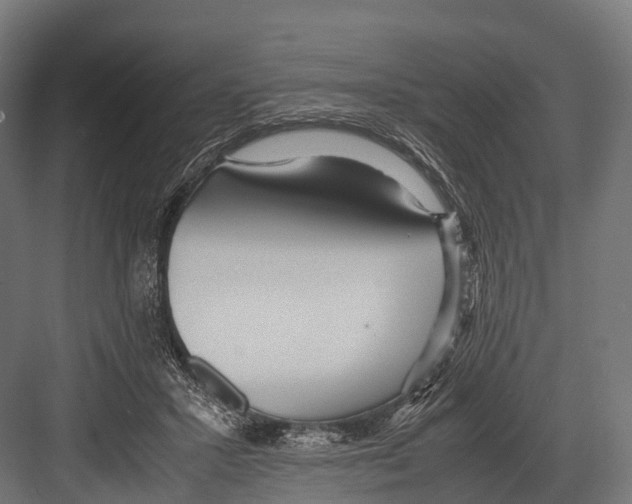 X0000081590407200702121519