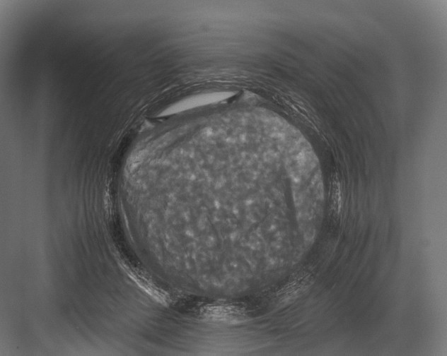 X0000081590408200702121519