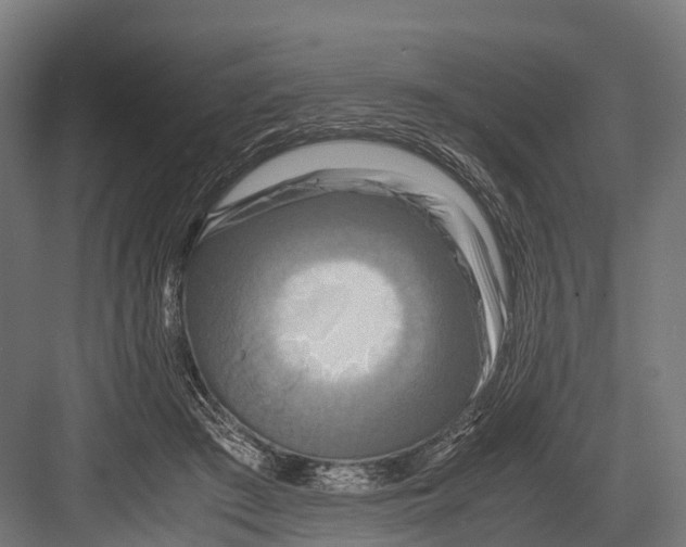 X0000081590409200702121519