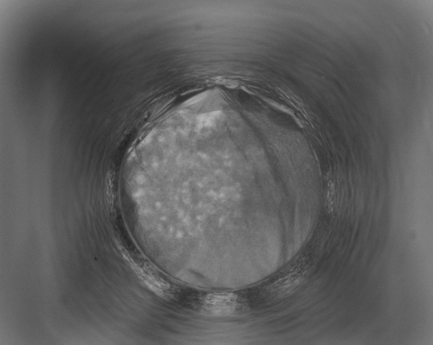 X0000081590410200702121519