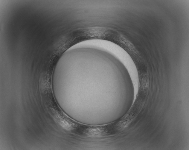 X0000081590411200702121519