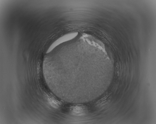 X0000081590412200702121519