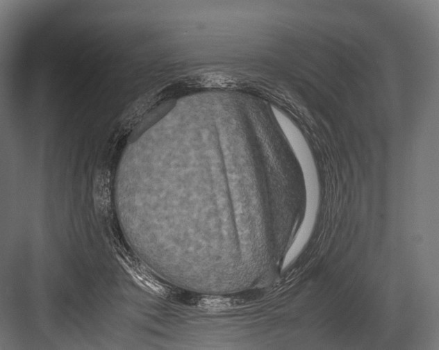 X0000081590413200702121519