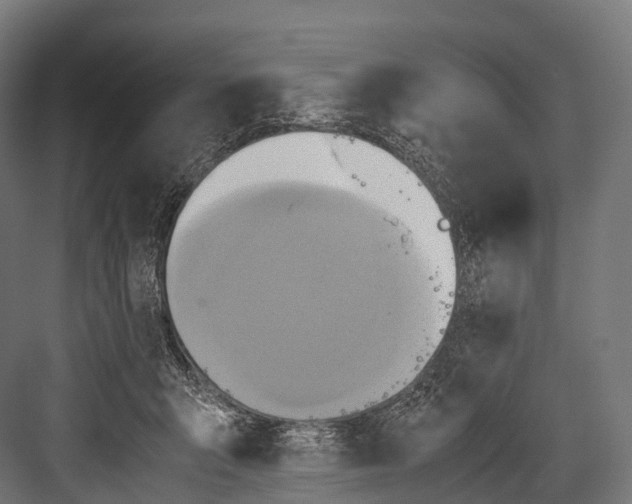 X0000081590415200702121519