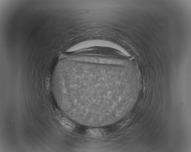 X0000081590417200702121519