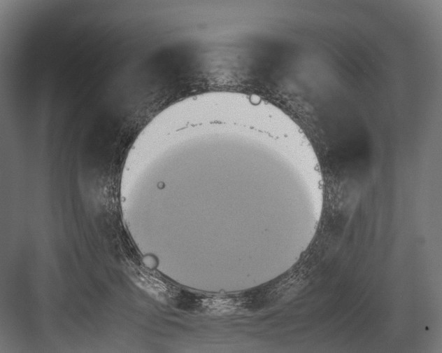 X0000081590419200702121519