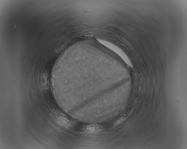 X0000081590420200702121519