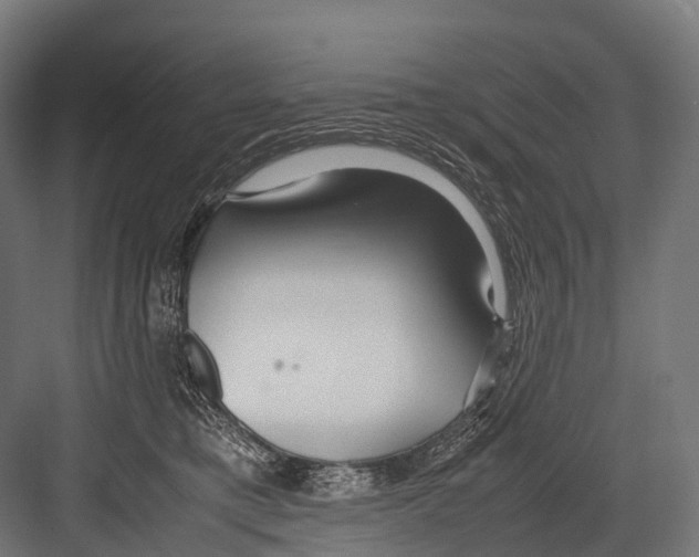 X0000081590421200702121519