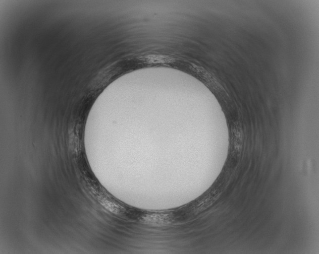 X0000081590422200702121519