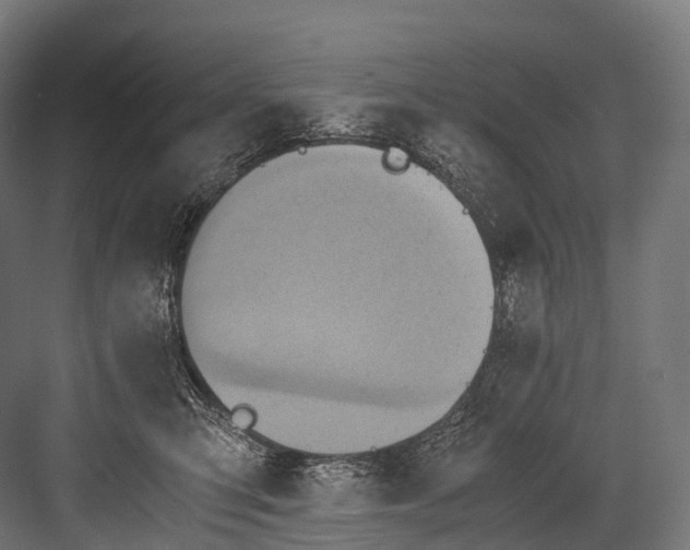 X0000081590423200702121519