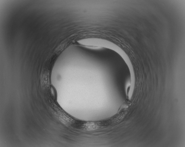 X0000081590425200702121519