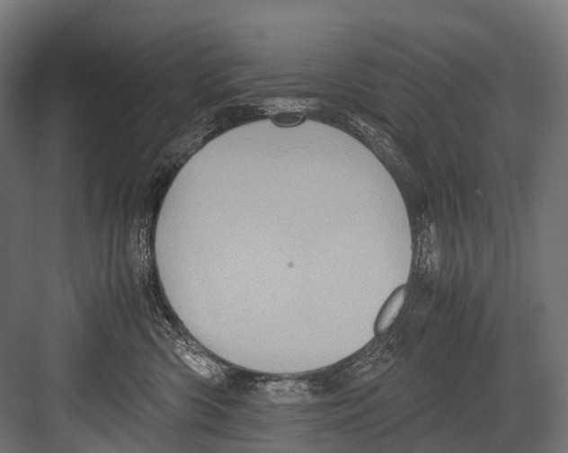 X0000081590426200702121519