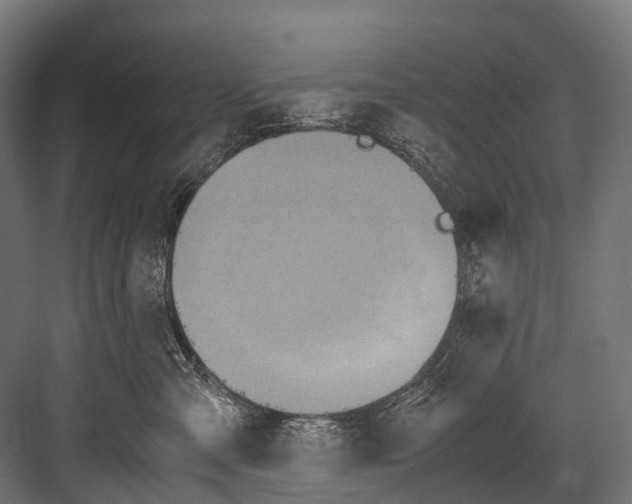 X0000081590427200702121519