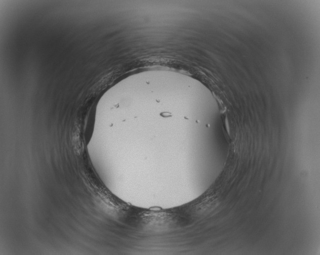 X0000081590428200702121519