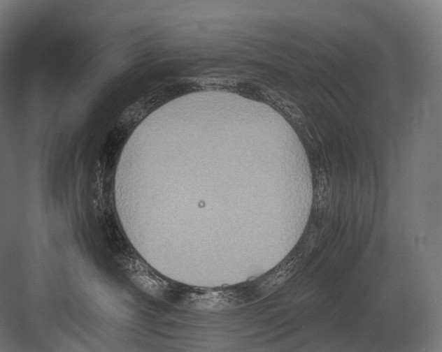 X0000081590430200702121519