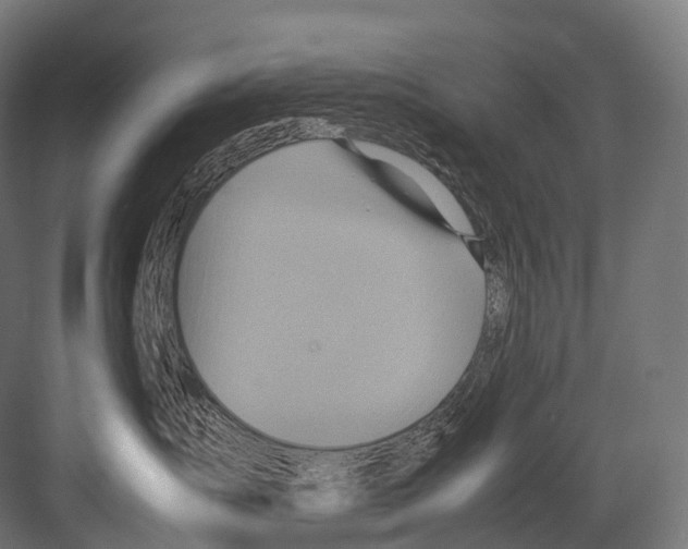 X0000081590431200702121519