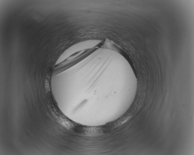 X0000081590432200702121519