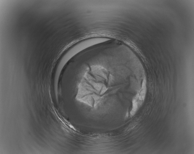 X0000081590434200702121518