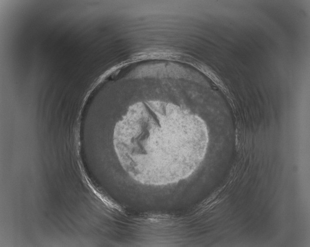 X0000081590438200702121518