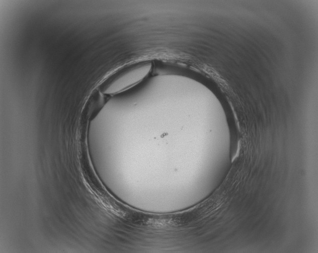 X0000081590440200702121518