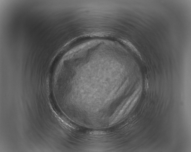 X0000081590444200702121518