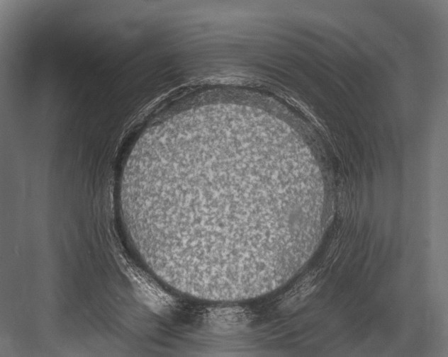 X0000081590446200702121518