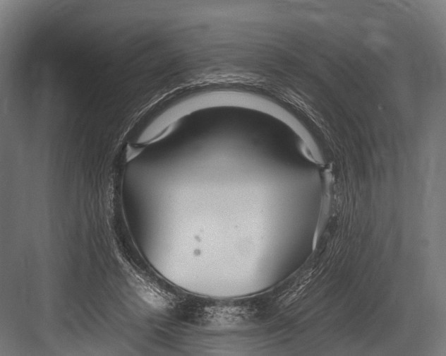 X0000081590448200702121518