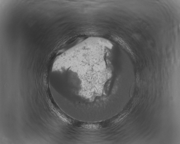 X0000081590449200702121518