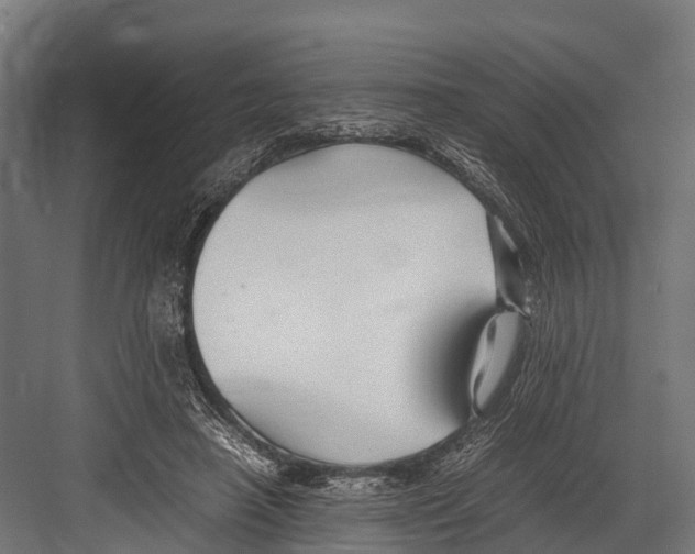 X0000081590450200702121518