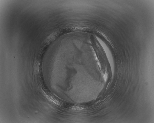 X0000081590451200702121518