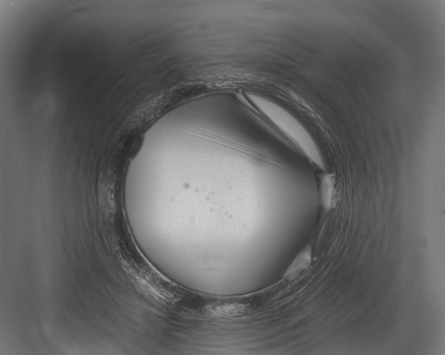 X0000081590452200702121518