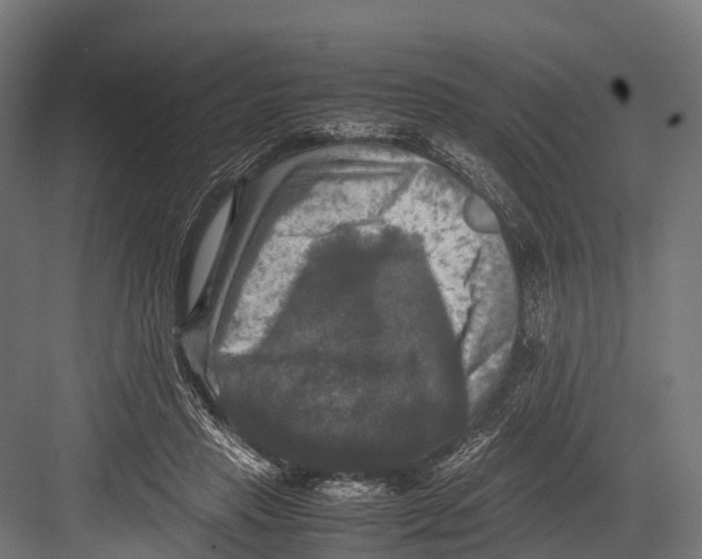 X0000081590453200702121518