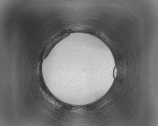 X0000081590454200702121518