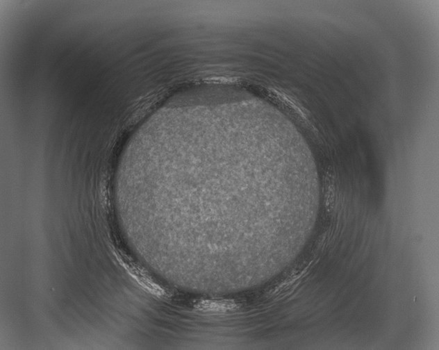 X0000081590455200702121518