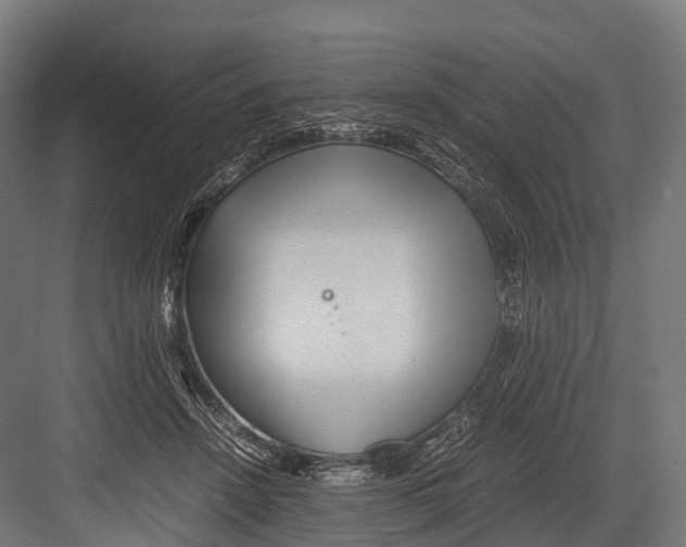 X0000081590456200702121518