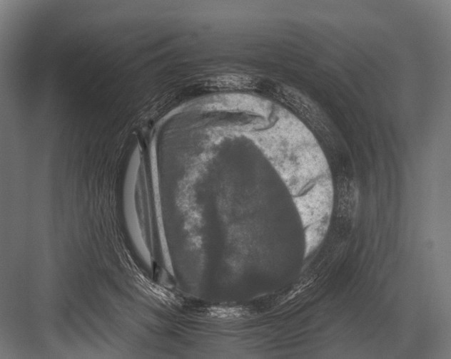 X0000081590457200702121518