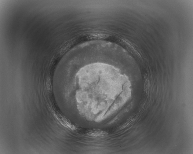 X0000081590459200702121518