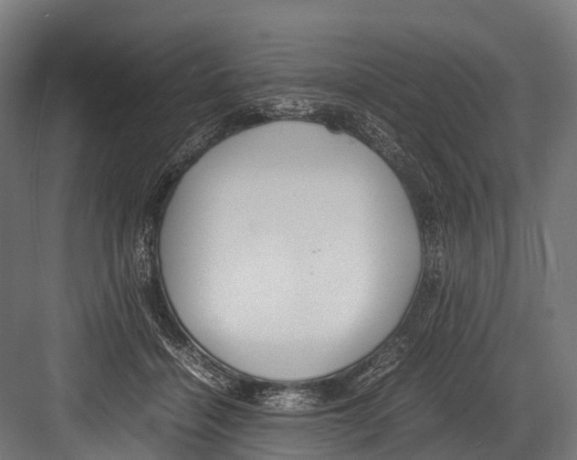 X0000081590460200702121518